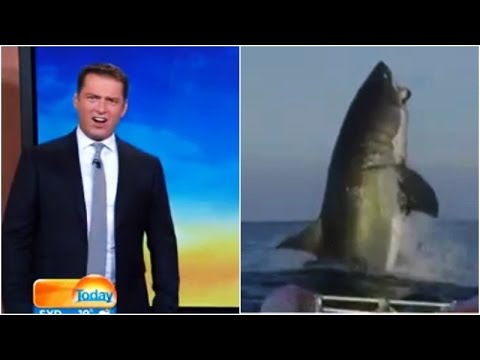 Australian News Team Has Some Strong Reactions on Sharks